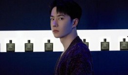 爆料明星事件袁昊视频,揭秘娱乐圈不为人知的真相