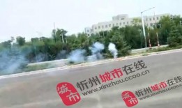 石海驾校最新爆料,驾校内部改革与学员福利大揭秘